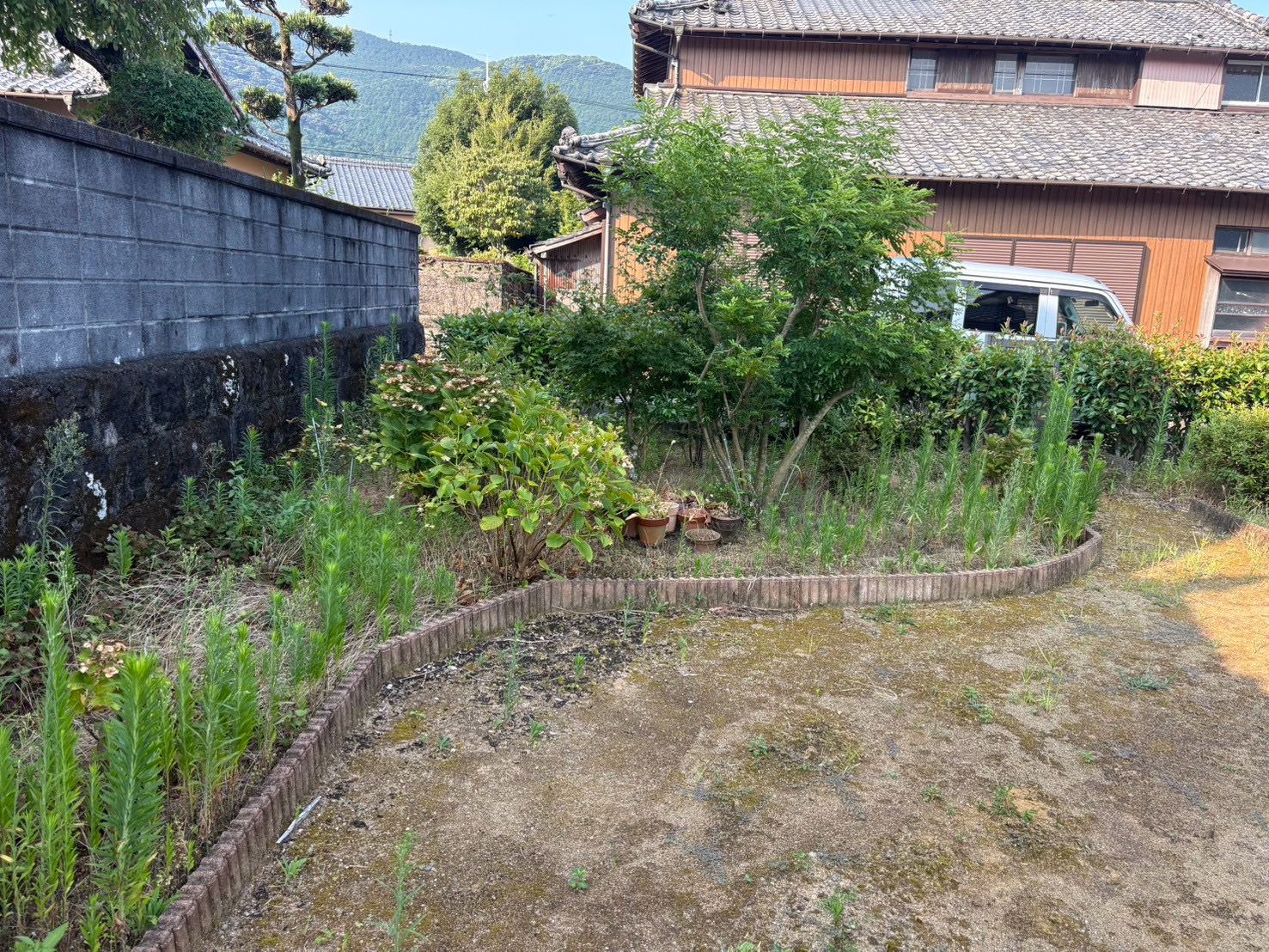 雲仙市での草刈り作業